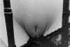 Bea03.jpg (25236 octets)